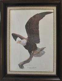 Tom Dunnington "The American Bald Eagle" Print 202//260